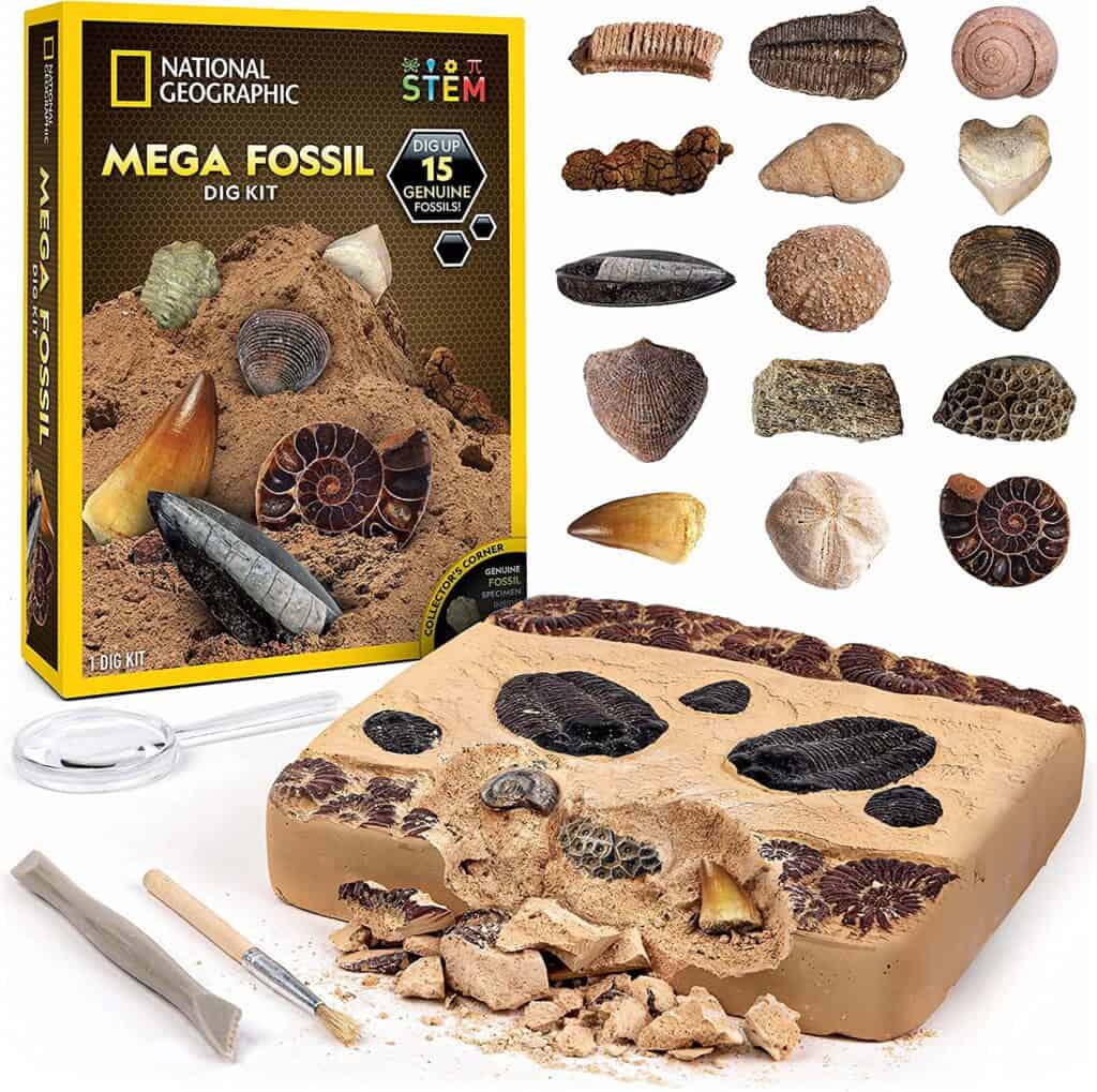 Mega fossil dig kit