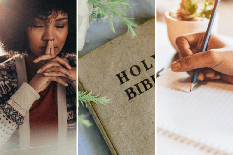 what is proverbs 31 about